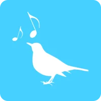 Amsel – Train your Voice